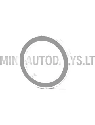 Brīvgaitas gultņa sajūga motora puse