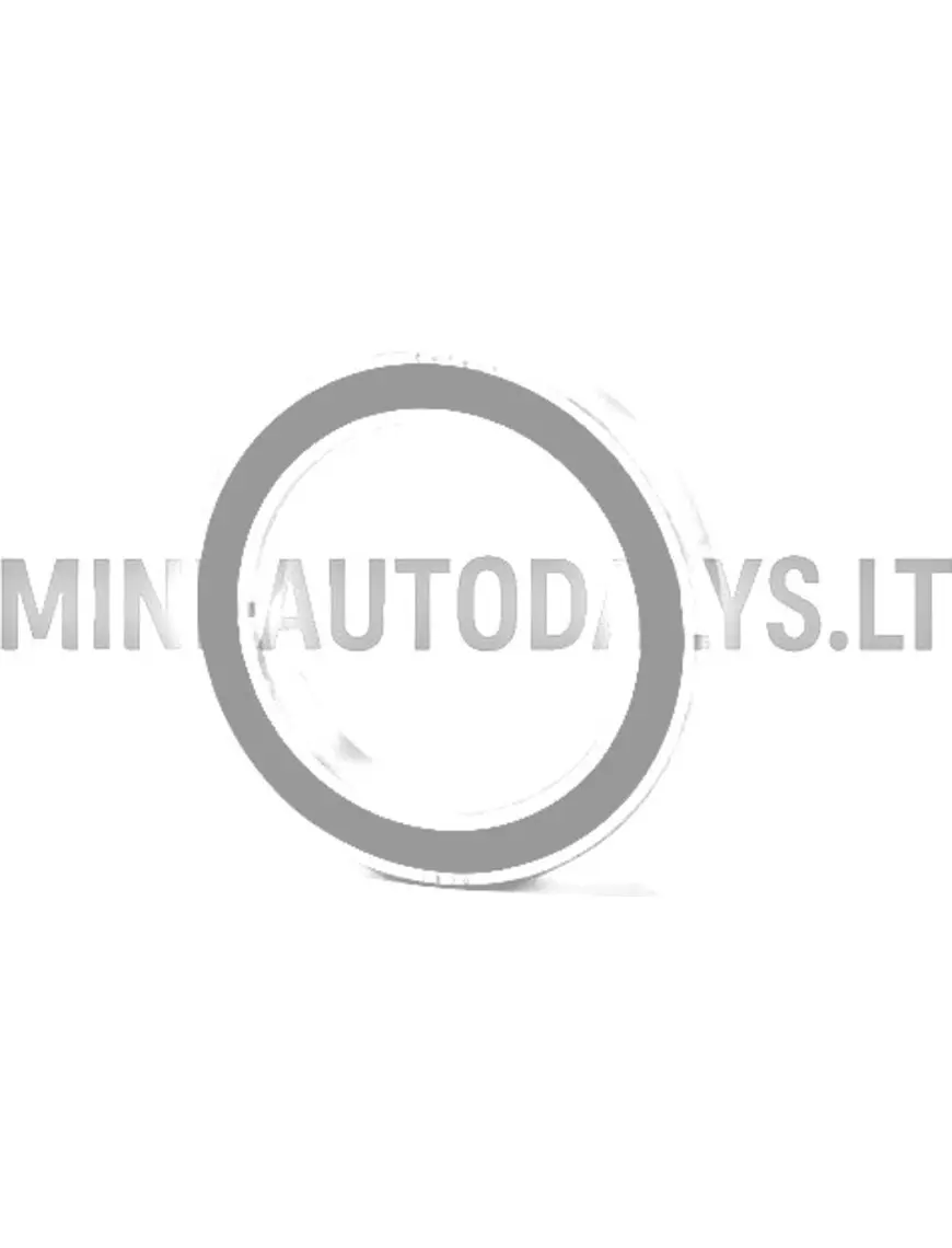 Brīvgaitas gultņa sajūga motora puse