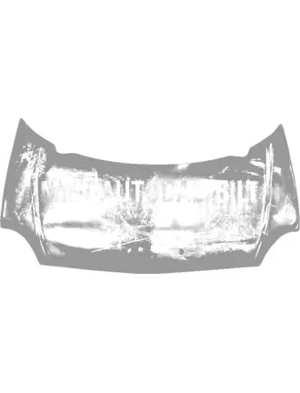 Aixam 2005-2008. gada motora pārsegs