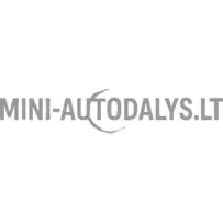 Lombardini 502 FOCS / Progress inžektora sprausla