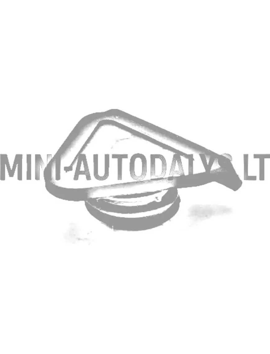 Eļļas uzpildes vāciņš Lombardini 502 FOCS