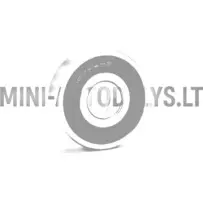 Pārnesumkārbas gultnis 6303 #16196 | Mini Auto Parts