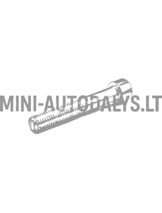 Bremžu suporta skrūve Ligier M10x60