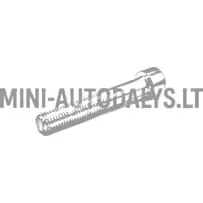 Bremžu suporta skrūve Ligier M10x60