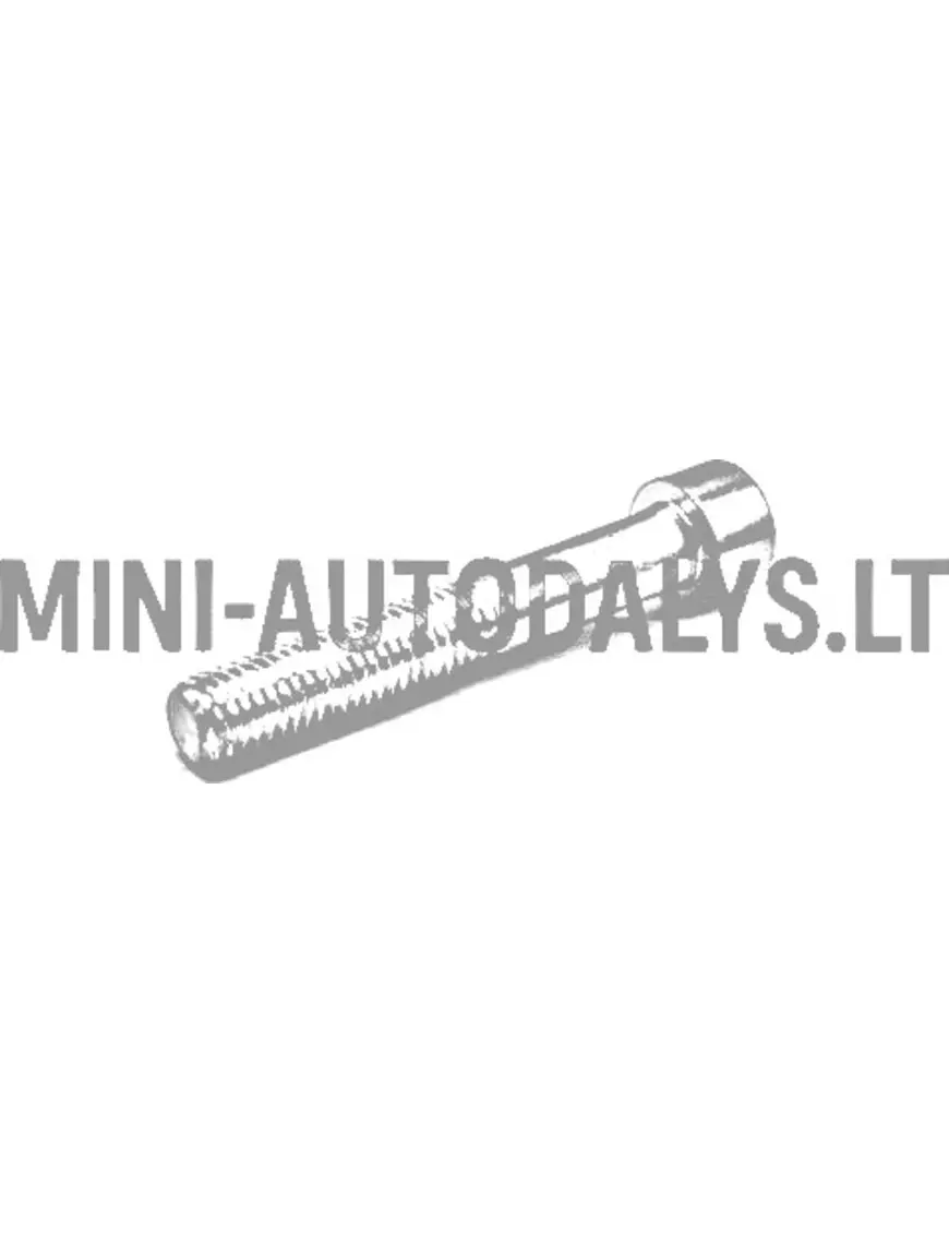 Bremžu suporta skrūve Ligier M10x60