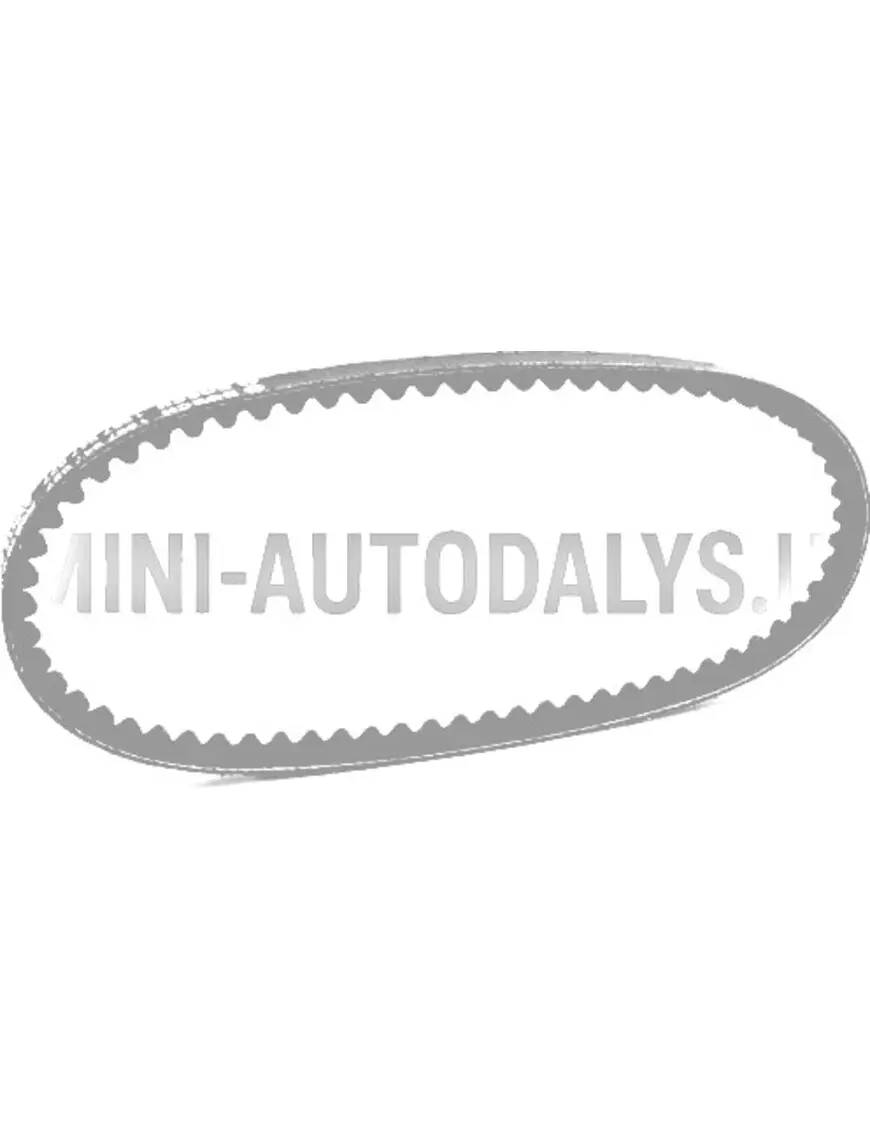 V veida siksna Ligier X-Too / X-Too MAX (10x600 mm)