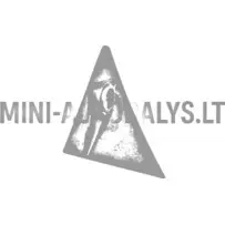 Eņģes stūris priekšā kreisajā pusē Aixam 2005-2008