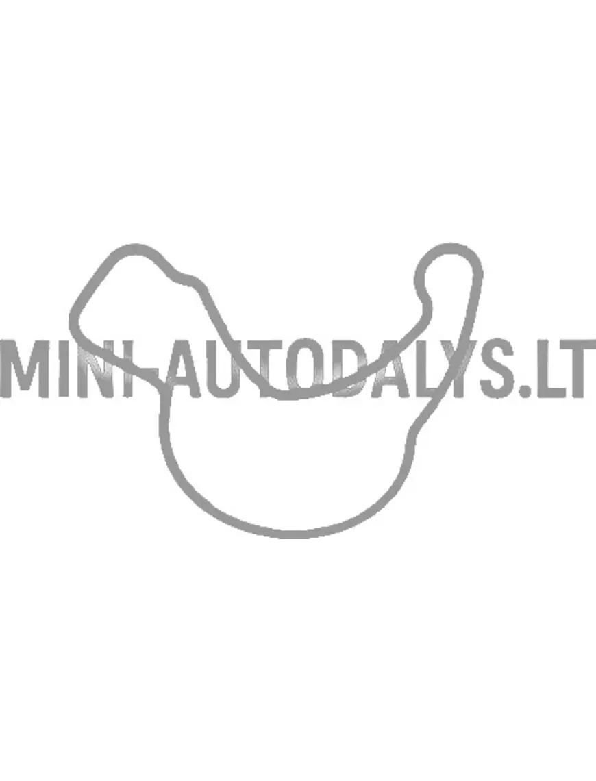 Eļļas sūknis Lombardini 502 FOCS / Progress