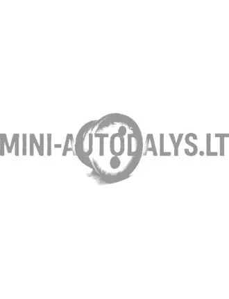 Degvielas kanāla blīve Lombardini 502 FOCS / Progress