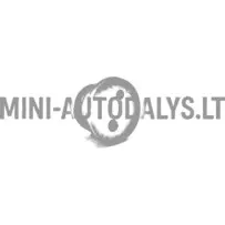 Degvielas kanāla blīve Lombardini 502 FOCS / Progress