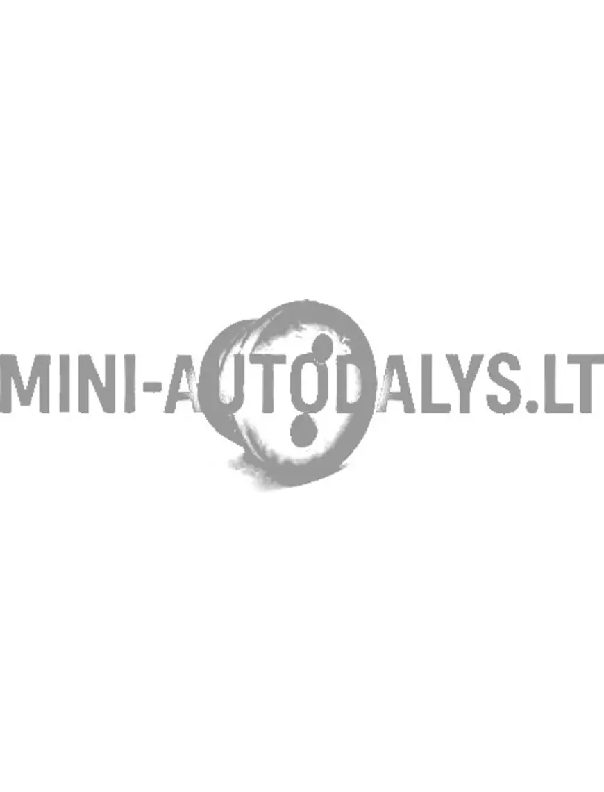 Degvielas kanāla blīve Lombardini 502 FOCS / Progress