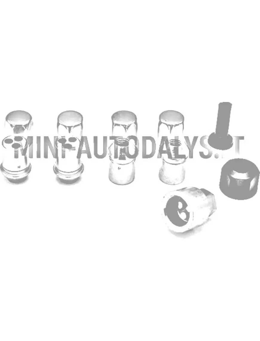 Riteņu aizsardzības pret zādzību skrūvju komplekts M10x1,5