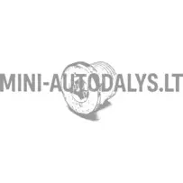 Lombardini eļļas izlaišanas korķis