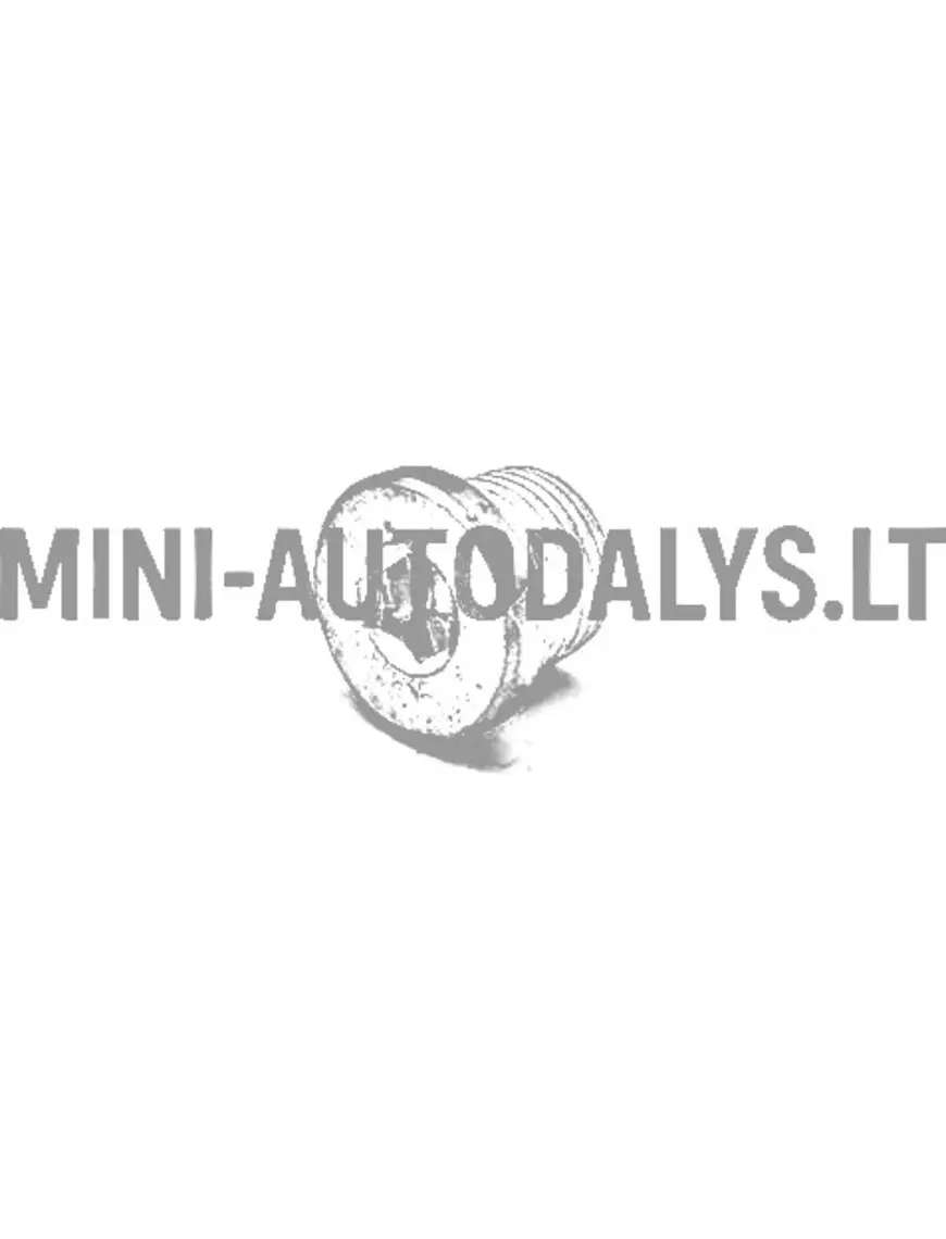 Lombardini eļļas izlaišanas korķis