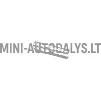 Izplūdes kolektora skrūve Lombardini 502 FOCS / Progress