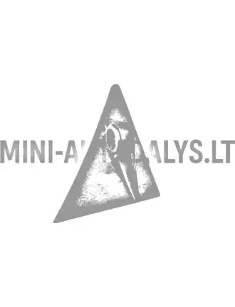 Eņģes stūris priekšējais labais Aixam 2005-2008 g.