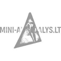 Eņģes stūris priekšējais labais Aixam 2005-2008 g.