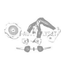 Slēdzeņu komplekts (3 vadi) Microcar / Ligier