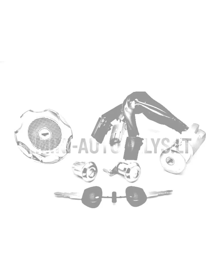 Slēdzeņu komplekts (3 vadi) Microcar / Ligier