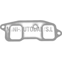 Ieplūdes kolektora blīve Yanmar