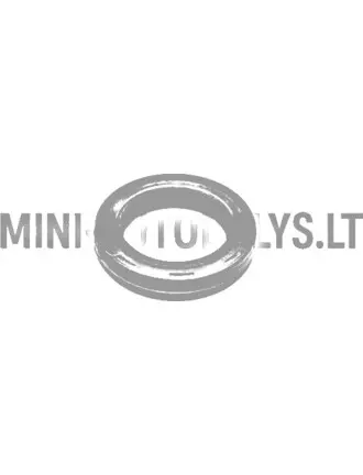 Eļļas blīvslēgs sadales vārpstas sadales pusē Lombardini 502 FOCS / Progress