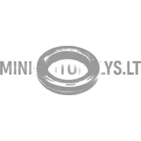 Eļļas blīvslēgs sadales vārpstas sadales pusē Lombardini 502 FOCS / Progress