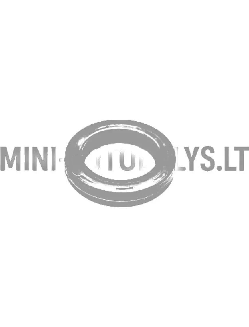 Eļļas blīvslēgs sadales vārpstas sadales pusē Lombardini 502 FOCS / Progress