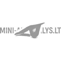 Motora pārsega eņģe priekšā kreisajā pusē Aixam Im #16377 | Mini Auto Parts