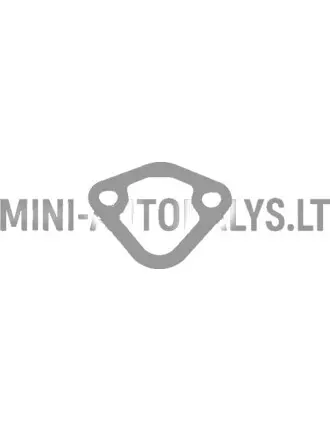 Degvielas sūkņa blīve Aixam Kubota Z402 / Z482