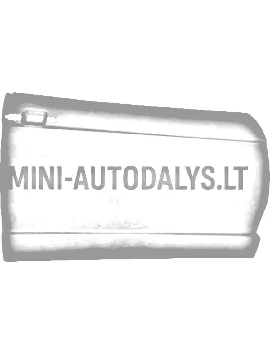 Durvju panelis labajā pusē Aixam Impulsion / Visio #16421 | Mini Auto Parts