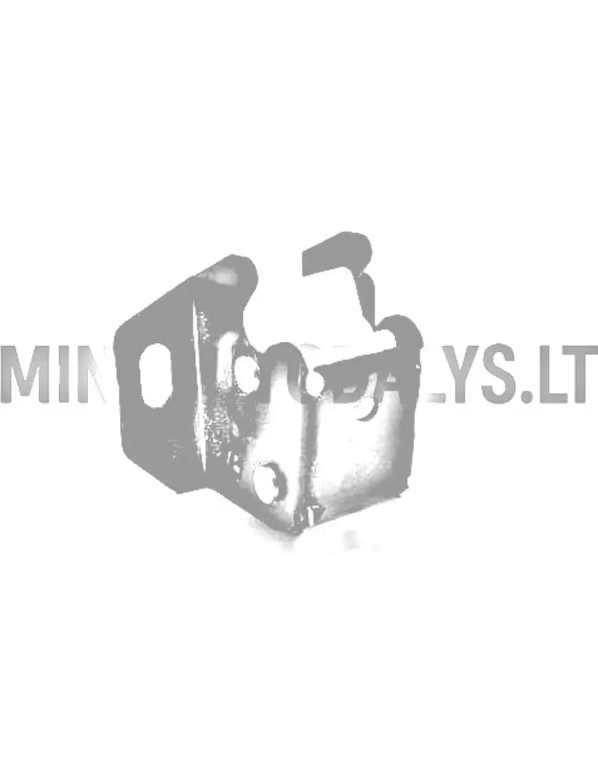 Aizmugurējo durvju slēdzenes mehānisms Microcar Virgo / JDM Titane
