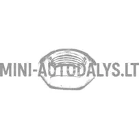 Variatora motora puses uzgrieznis