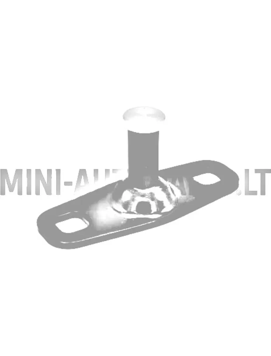 Durvju slēdzenes tapa Ligier / Microcar