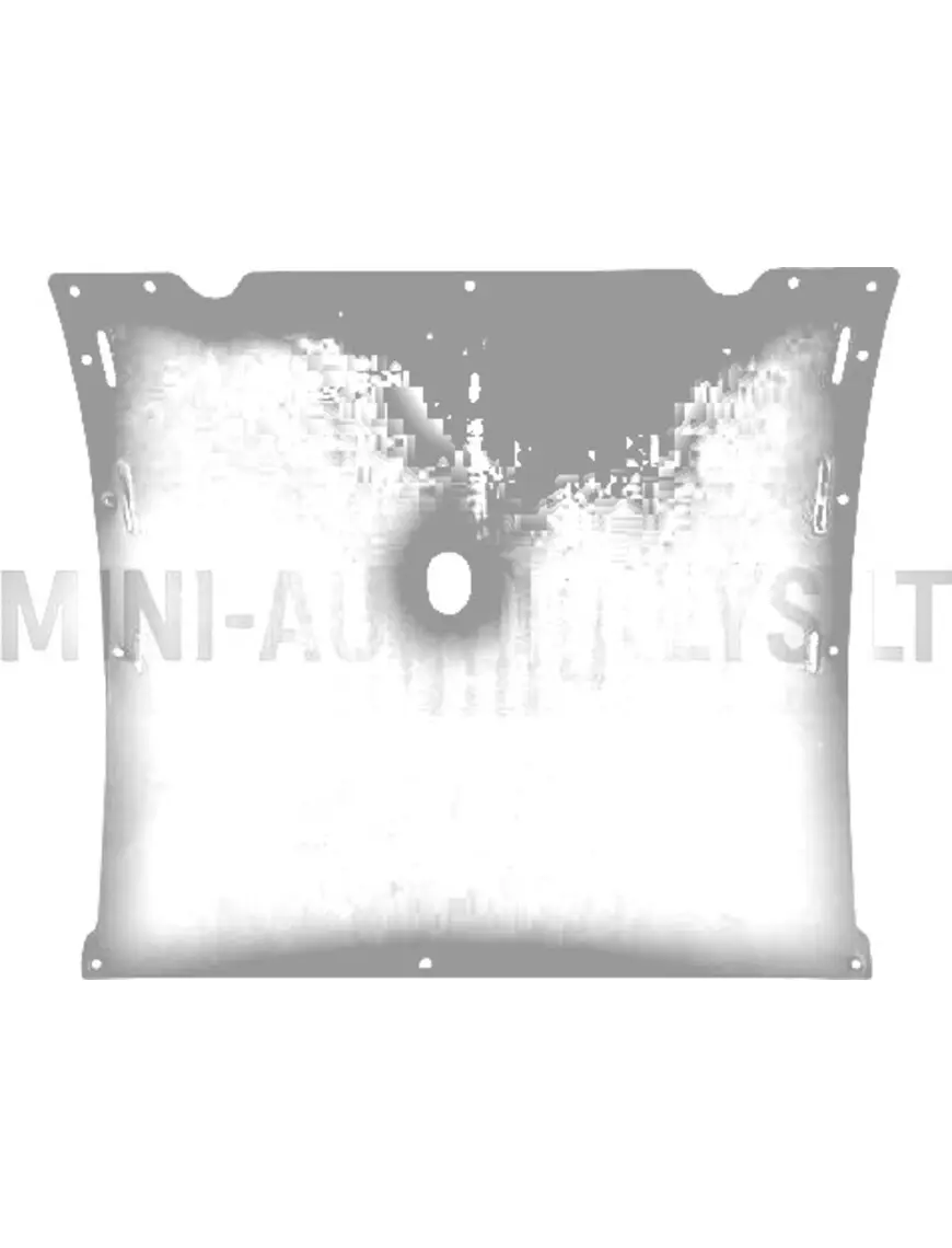 Dzinēja izolācijas plāksnes apakšdaļa ABS Microcar MGO / M8