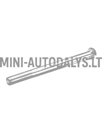 Variatora skrūve motora pusē, 1. tips