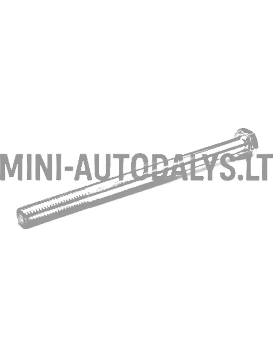 Variatora skrūve motora pusē, 1. tips