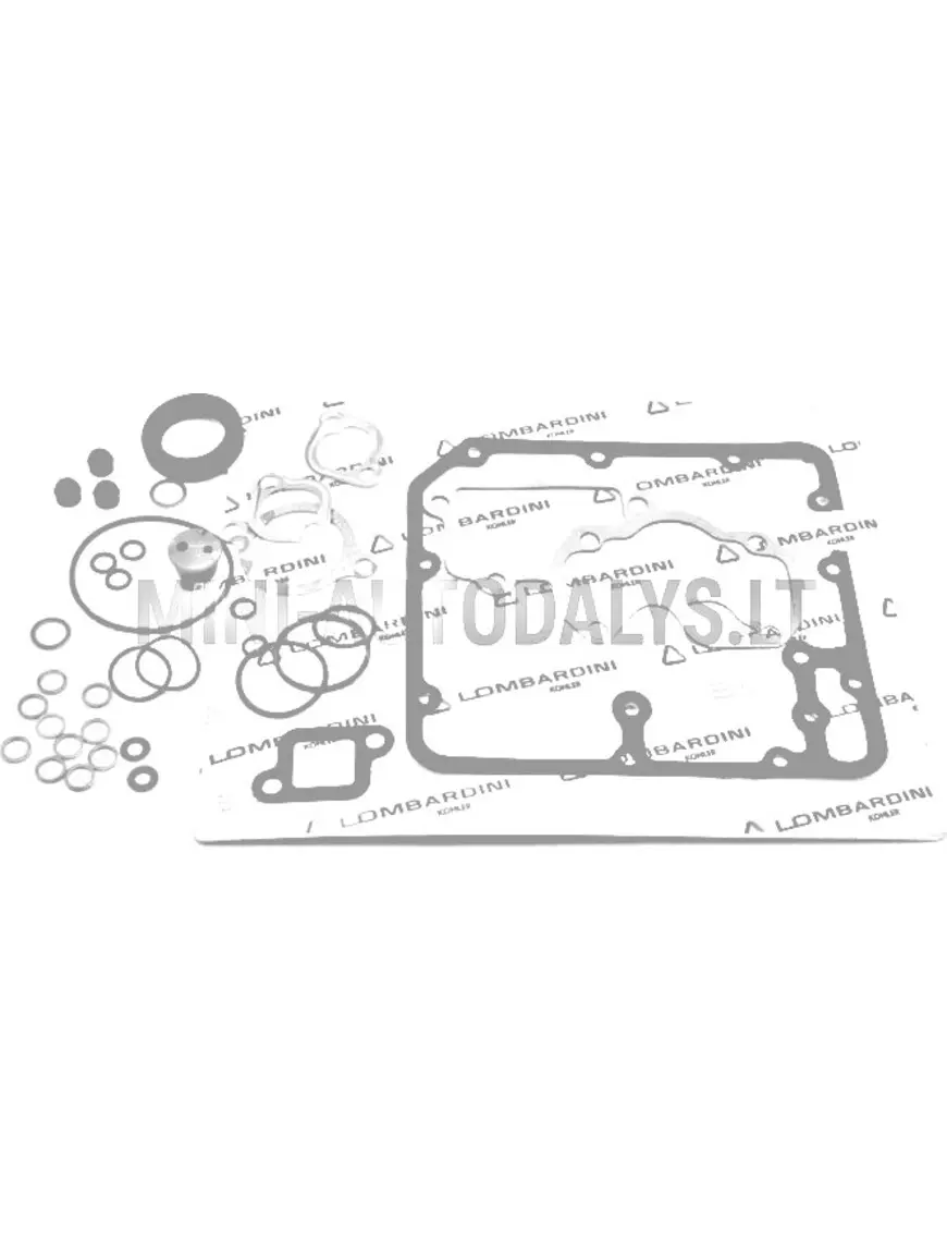 Dzinēju blīvju komplekts Lombardini FOCS / Progress