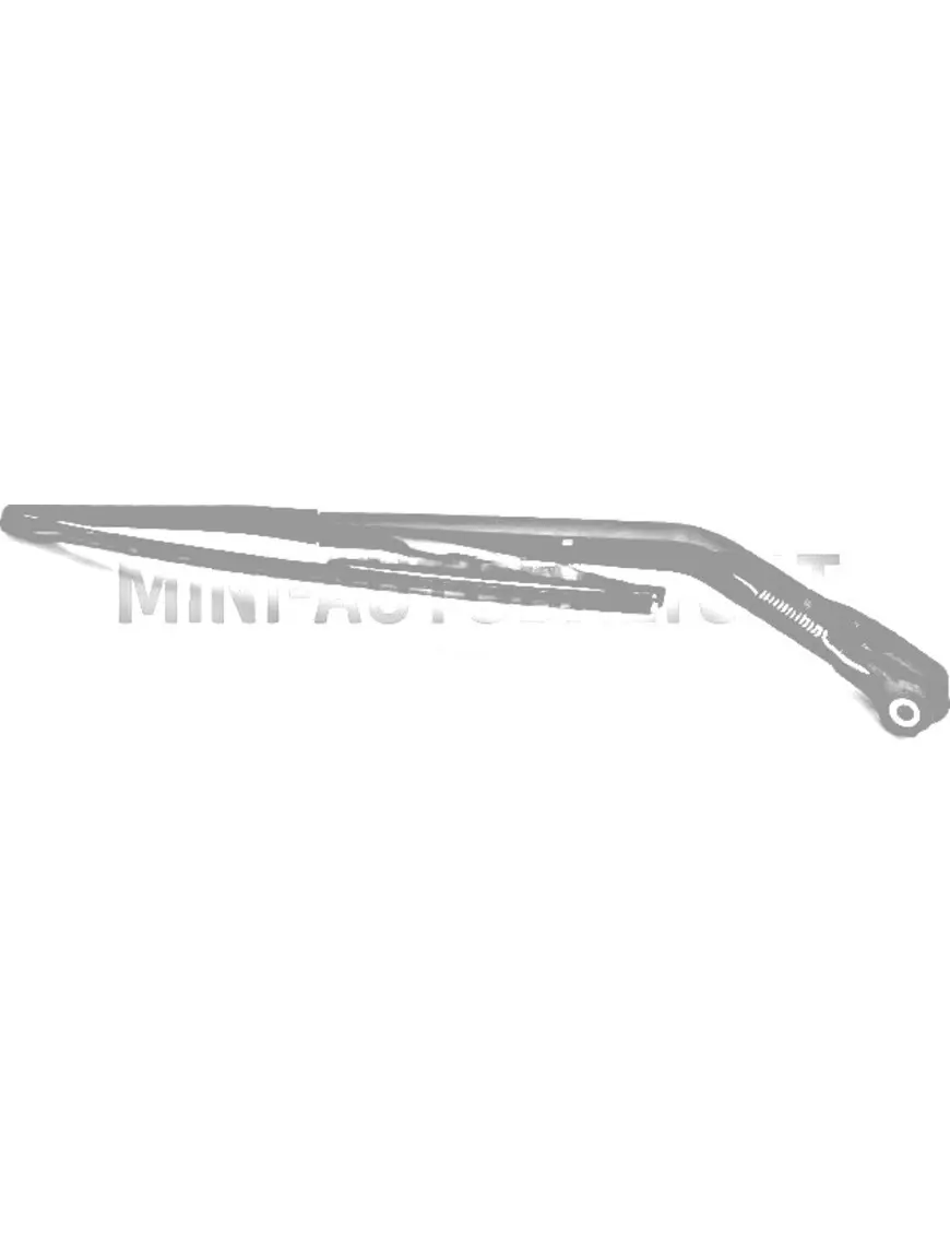 Aixam tīrītāja slotiņa + rokturis