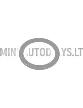 Degvielas pludiņa blīvgredzens Aixam 1997-2010