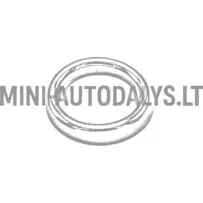 Izplūdes caurules gredzenveida gals "Aixam Impulsion