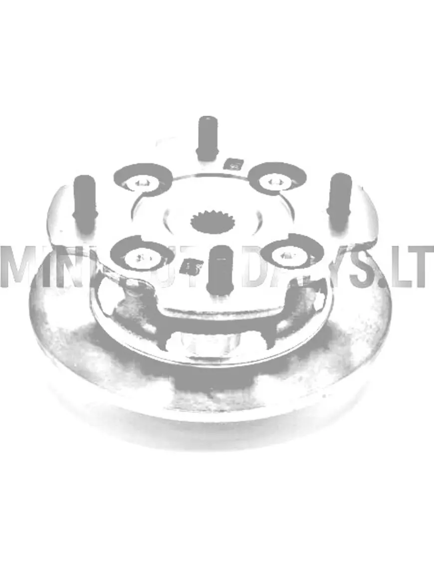 Bremžu disks + priekšējā riteņa rumba "Microcar Virgo" (Ø 170 mm)