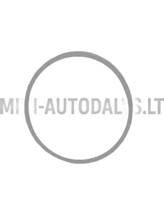 Degvielas filtra korpuss ar blīvgredzenu "Aixam Kubota" (2. modeļa filtrs)