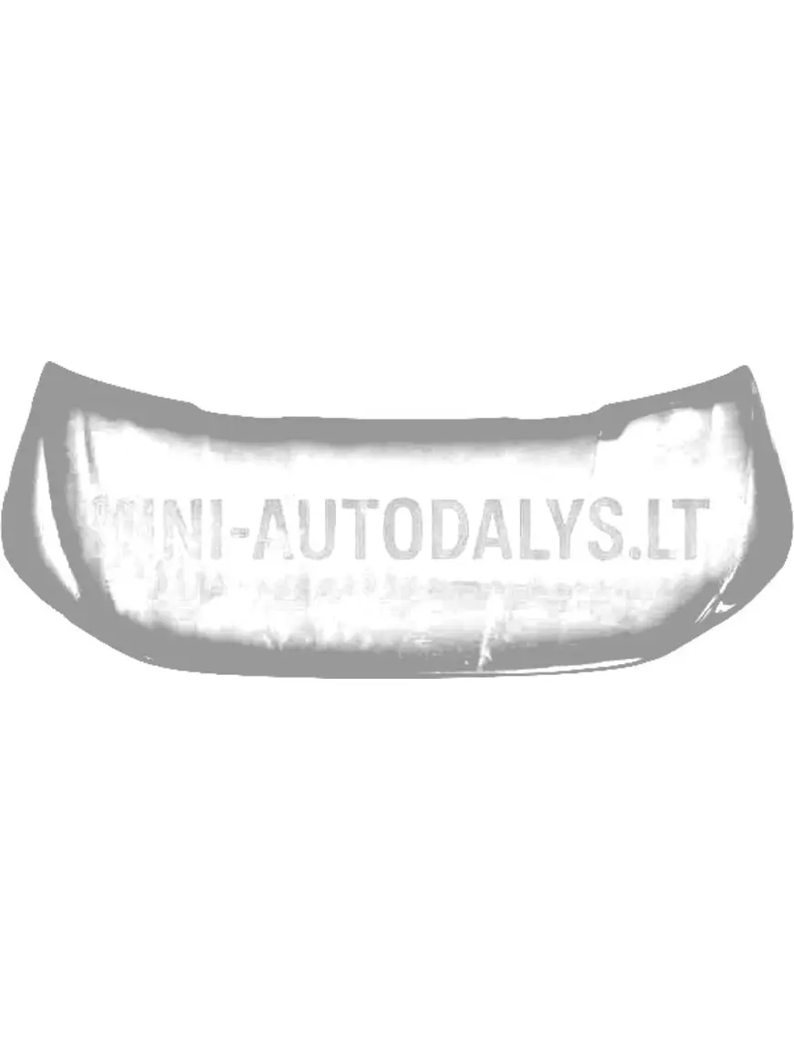 Ārējais panelis motora pārsegs Aixam Ambition