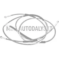 Bremžu līnijas komplekts aizmugurējais Micrcocar M #16619 | Mini Auto Parts