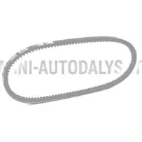 Ķīļsiksna Lombardini 442 / 480 / 492 DCI (10x665 mm)