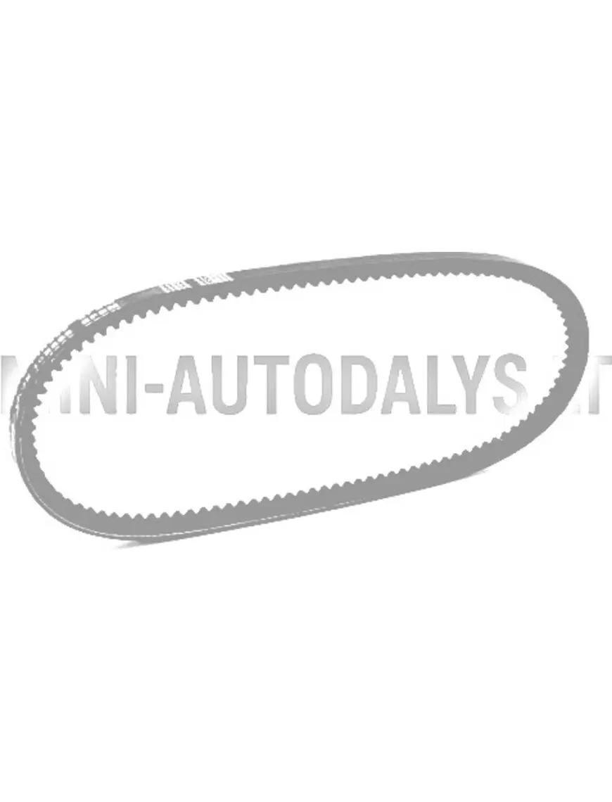 Ķīļsiksna Lombardini 442 / 480 / 492 DCI (10x665 mm)