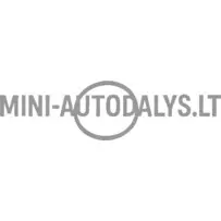 Sadales vārpstas spararata puses O-gredzens Lombardini 502 FOCS / Progress