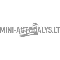 Banjo skrūve degvielas sūknis Lombardini 502 FOCS