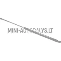 Aizmugurējo durvju amortizators Microcar MGO1 / MG #16656 | Mini Auto Parts