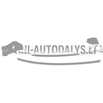 Ārējais durvju rokturis Ligier / Chatenet | Mini Auto Parts